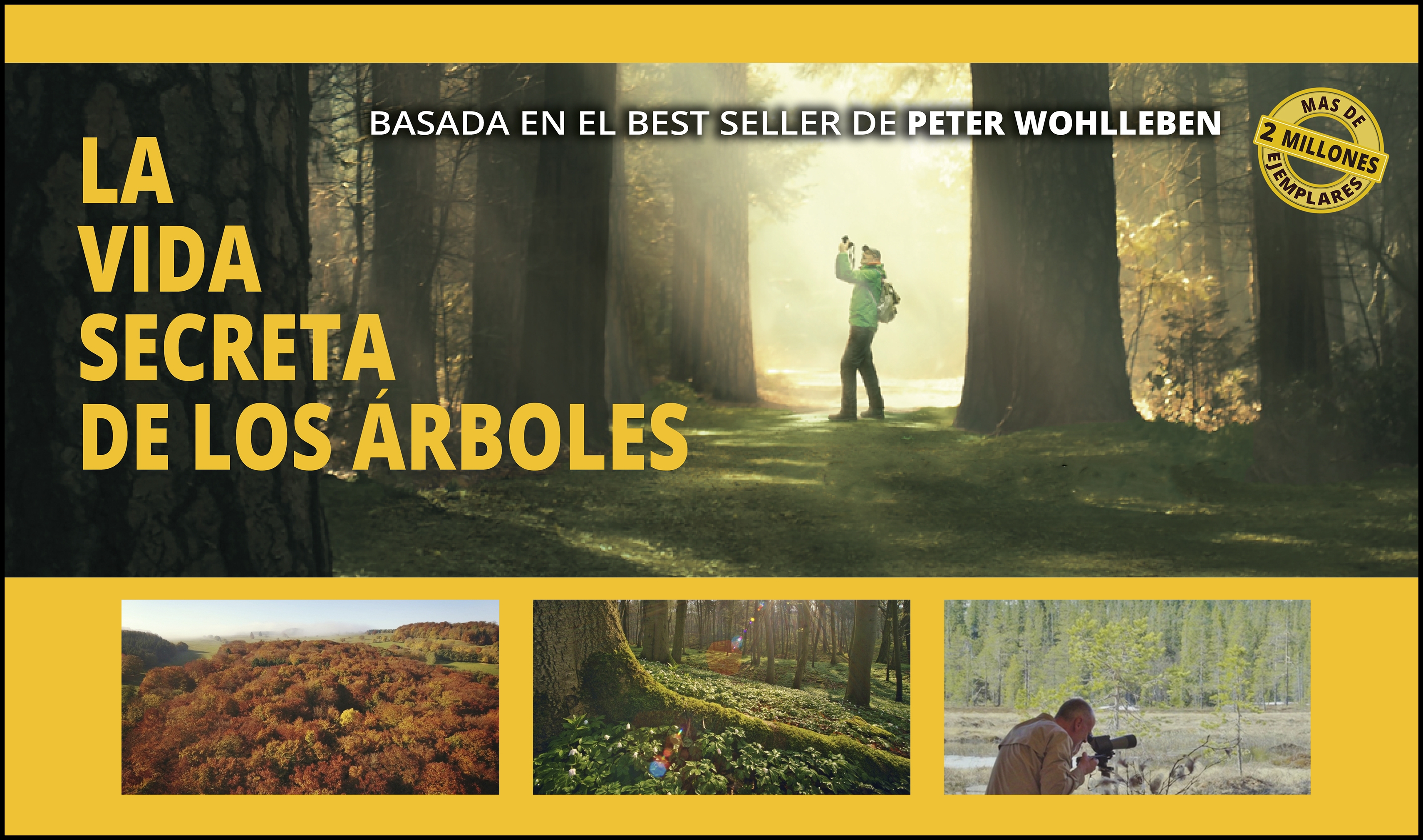 LA VIDA SECRETA DE LOS ÁRBOLES